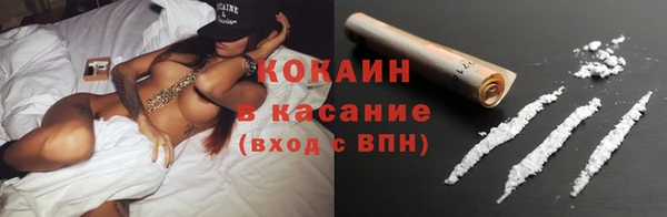 шишки Абинск