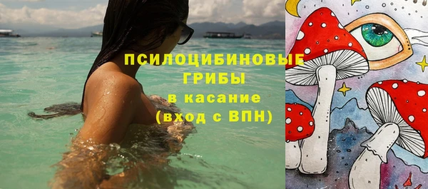 сатива Семилуки
