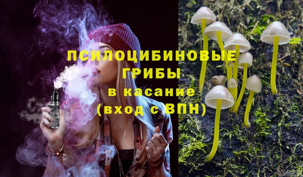 шишки Абинск